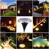 12 Pack Outdoor Solar Lights - Solar Landscape Lighting