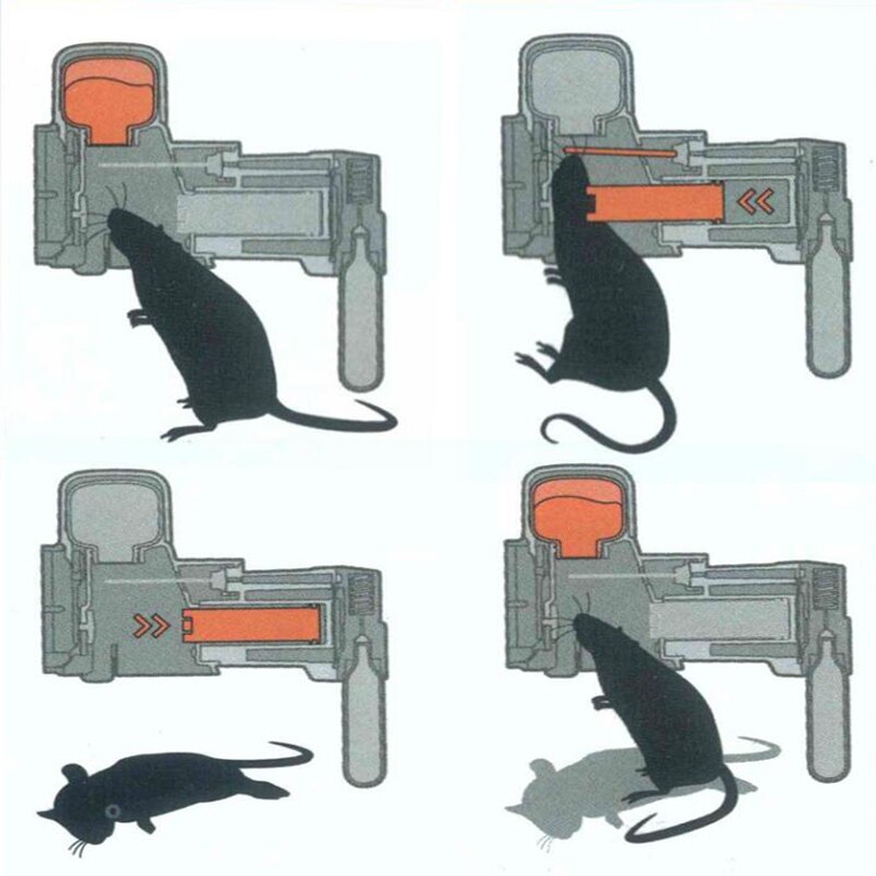 Mouse and Rat Trapping Kit